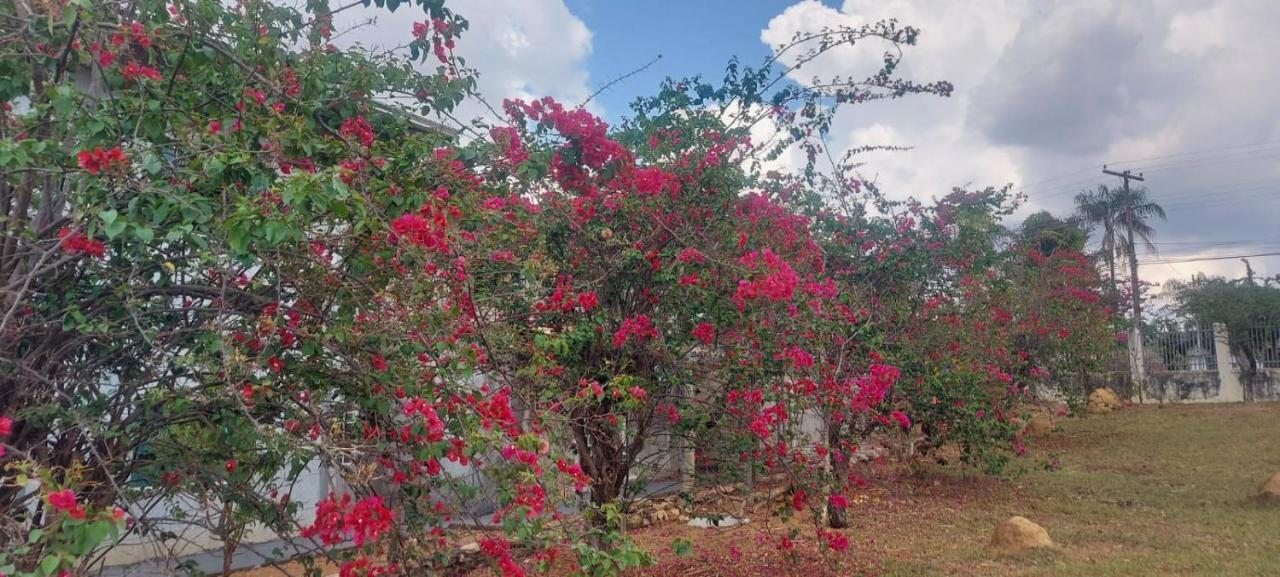 Villa De Assis Suites Alto Paraíso de Goiás Eksteriør bilde